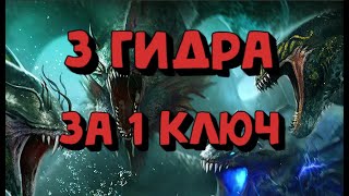 3 ГИДРА ЗА 1 КЛЮЧ. ТОП СОСТАВ НА ЛЮБУЮ РОТАЦИЮ. RAID SHADOW LEGENDS