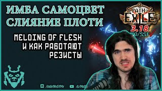 Почему Melding - имба? И как работают резисты в ПоЕ. Path of exile 3.18 Sentinel