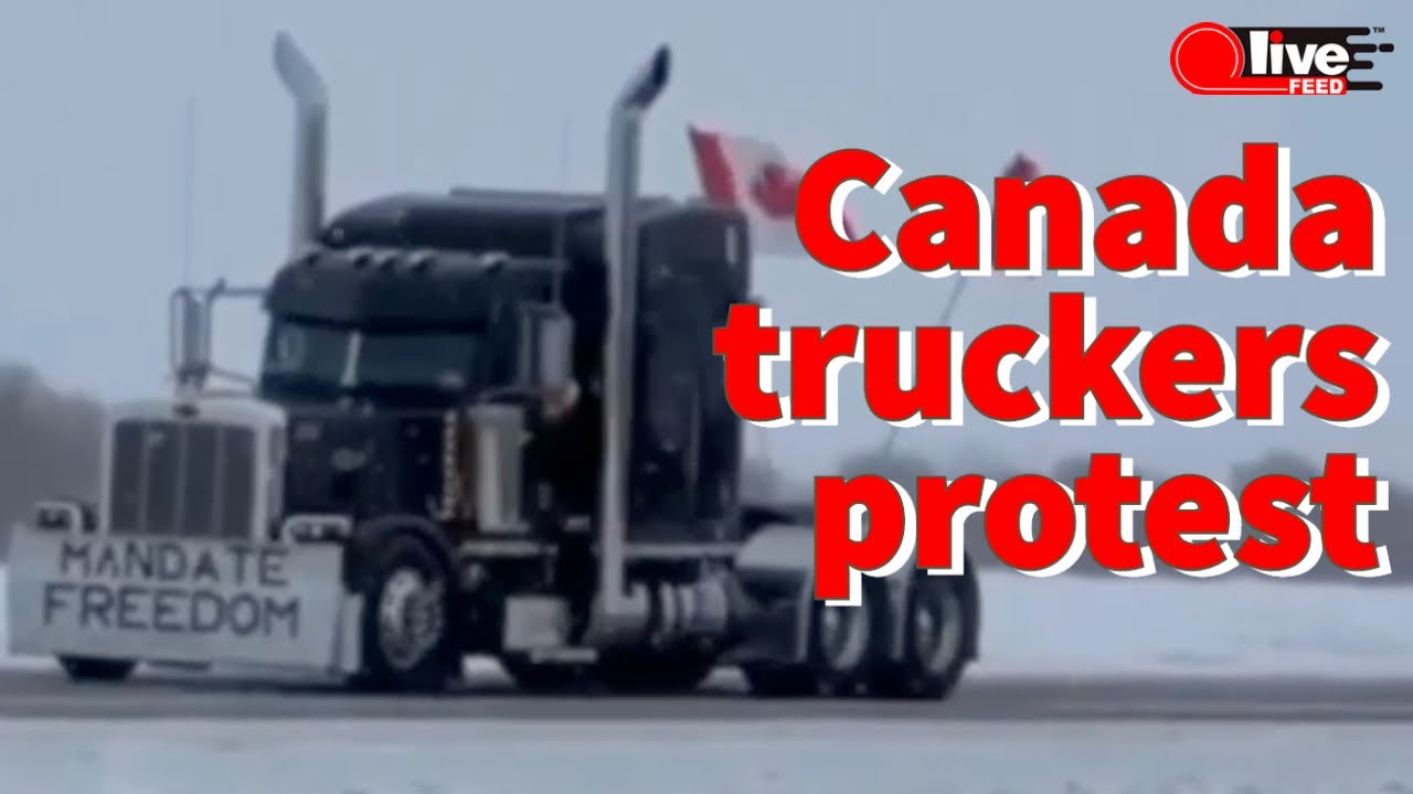 Canada's truck drivers protest vax mandate, warn of supply chain collapse | LiveFEED®