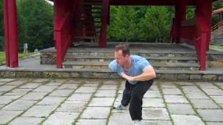 Sifu Robert Dreeben demonstrates the Pa Kua Dragon form