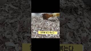 단체급식 -500인분 #돼지고기 냄새가  전혀 안 나는 제육볶음 비법 공개!!!