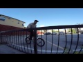 gone biking formula 1 bmx ft. dan kruk matt gutierrez adam accardi u0026 ryan pipkin