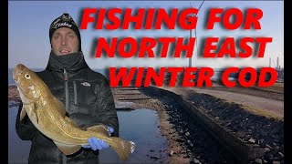 Fishing For North East Winter Cod In Northumberland