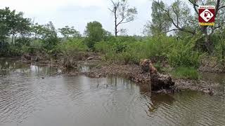 পটুয়াখালীর রাঙ্গাবালী উপজেলায় টাকায় মিলছে প্রাকৃতিক বনায়নের গাছ