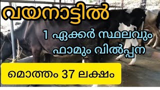 വയനാട്ടിൽ 1ഏക്കർ സ്ഥലവും പശു ഫാമും മൊത്തം 36 ലക്ഷം രൂപ മാത്രം