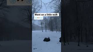 Mini Vlog 024 #life #vlog #andrew #work #snow