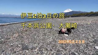 伊豆２泊３日の旅１日目　千本浜公園・大瀬崎RVパーク