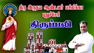 🔴நேரலை 31.12.2024   திருப்பலி தூய இருதய ஆண்டவர் பசிலிக்கா.12.00 PM