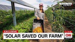 How Agrivoltaic Farming Can Help Solve Our Food & Energy Crises..