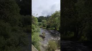 The beauty of the Kalindi riverside walkway in Tirunelli