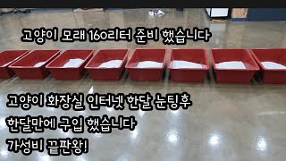 고양이 모래 160리터 준비 했습니다 고양이 화장실 가성비 끝판왕!