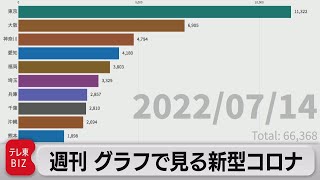 「第７波で爆発的に感染拡大」週刊グラフで見る新型コロナ（2022年7月15日）