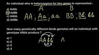 How many geneticaly different kinds gamets individual with AAbb genotype can produce?