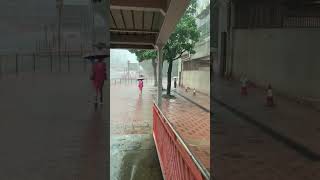 【 Hong Kong 香港 】2024年6月14日 暴雨警告 「紅」 大雨 雷雨 荃湾西 Tsuen Wan West