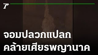 จอมปลวกแปลกคล้ายพญานาค | 27-10-65 | ตะลอนข่าว