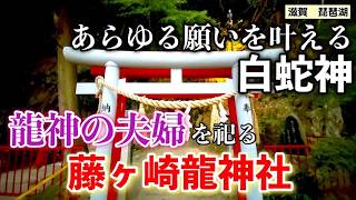 [龍神][白蛇][絶景]夕方の神社参拝は控えるべし「藤ヶ崎龍神社」〜あらゆる願いを叶える白蛇・弁財天・夕暮れの琵琶湖に癒される！