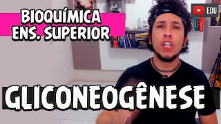 Gliconeogênese | Curso Bioquímica Ens. Superior (AULA 14)