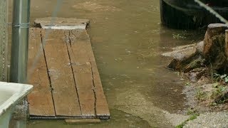 A Man in Slippers Walks Through the Piles in a Puddle | Stock Footage - Videohive