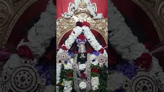 Sri Krishna Pranama Mantra ! ఓం కృష్ణాయ వాసుదేవాయ హరయే పరమాత్మనే !..: శ్రీకృష్ణ ప్రణామ మంత్రః !