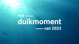 Het duikmoment van 2023 - Gliders