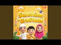Sunshine Of Gratitude