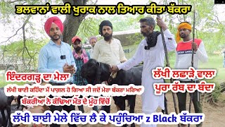 ਲੱਖੀ ਬਾਈ ਦਾ ਬੱਕਰਾ ਵੇਖੋ - Indergarh Da Mela - Goat farming - @iltilanadhuri