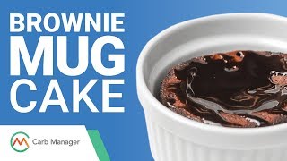 Keto Brownie Mug Cake Recipe (Low Carb Dessert)