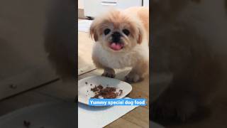 Pekingese loves this food!😋 #pekingese #shorts