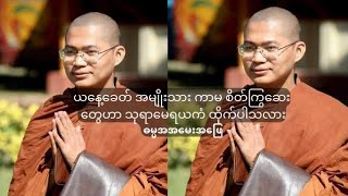 ယနေ့ခေတ် အမျိုးသား ကာမ စိတ်ကြွဆေးတွေဟာ သုရာမေရယကံ ထိုက်ပါသလား