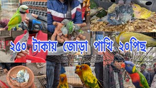 আজকের হাটে পানির দামে পাখি || মিরপুর ১ পাখির হাট || Mirpur 1 pakhi hat || birds market today Mirpur