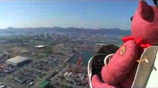 R/C airplane with Pilot teddy bear HDV video