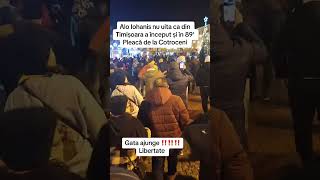 IOHANNIS DEMISIA 🤬🇷🇴 TIMIȘOARA LIBERTATE 🙏 #diaspora #romania #viralvideo #viralreels #stiri