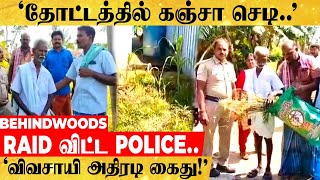 'தோட்டத்தில் கஞ்சா செடி வளர்த்த விவசாயி!'😲RAID விட்ட Police👉விவசாயி  கைது!...