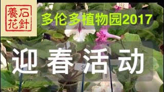 多伦多植物园 园艺 迎春活动 2017 02 18 （1080P）