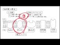 【高校生物 9】代謝【呼吸（電子伝達系）】を宇宙一わかりやすく