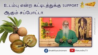 உடம்பு என்ற கட்டிடத்துக்கு SUPPORT ஆகும் சப்போட்டா | Benefits of Sapota