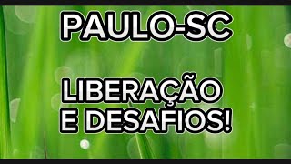 PAULO-SC: \