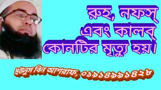 নফস রুহ ও কলব কি? ইউনুস বিন আশরাফ