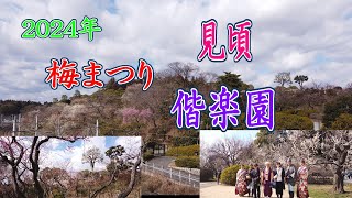 梅まつり　見頃　水戸　偕楽園