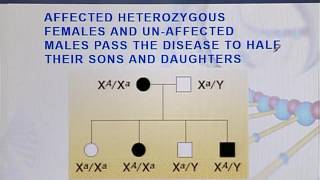 BIO301 Topic151