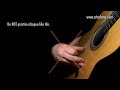 flamenco guitar 101 30 alzapua basics