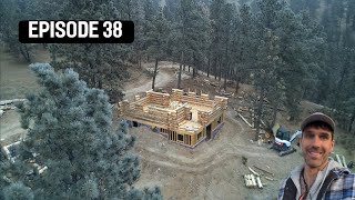 Building a Log Cabin in the Woods Alone!