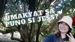 UMAKYAT SA PUNO SI JessTV(Official)?!🤪.