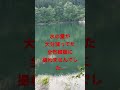 水没林 失敗