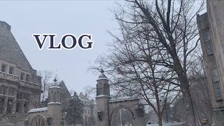 [eng sub] 미국대학원생 🇺🇸 vlog / 미국정육점방문 \u0026 장보기목록 / 눈이 펑펑왔어요 ❄️ / 베지테리안식당 방문기 🥦