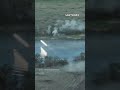 american made bradley ifv and its 25mm bushmaster cannon are annihilating russian occupiers tanks