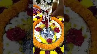 Aji Magha Saptami beshara Video Mahabir Kar Nana ll ଆଜି ମାଘ ସପ୍ତମୀ ବେଶର ଭିଡିଓ ମହାବୀର କର ନନା