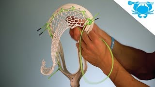Tutorial: ECD DNA