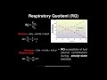 exercise physiology respiratory quotient rq what is it