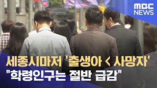 세종도 2045년 '자연감소'‥ 유소년·학령인구도 급감 (2024.06.06/뉴스데스크/대전MBC)